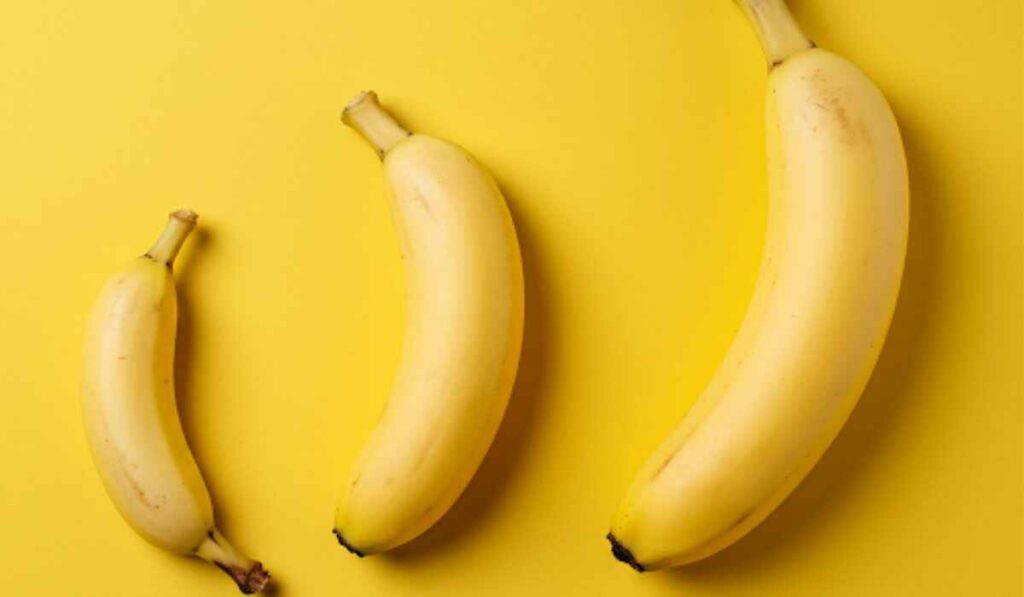 Who has the Biggest Penis in the world?
